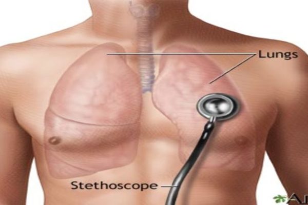 Respiratory auscultation sounds