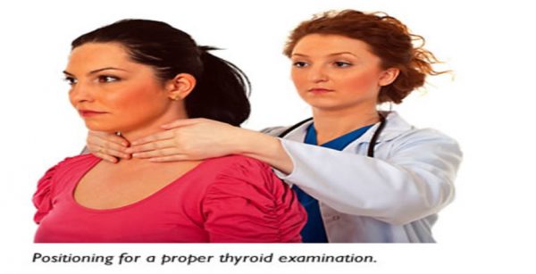 thyroid examination